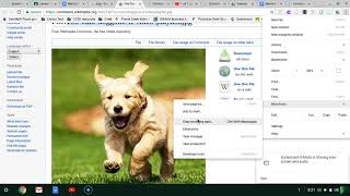 Adding Save To Google Drive Extension