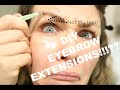 Eyebrow Extensions!!? DO THEY WORK!!!??? (re-upload with B&amp;A&#39;s)