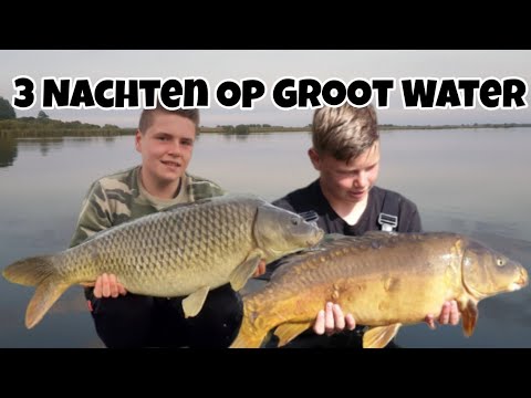 Groot cognacglas vissen