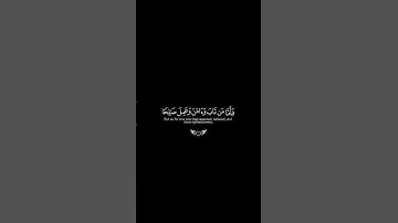 اكتب شي تؤجر عليه 🤍 #سورة_القصص #شاشه_سوداء