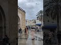 Bab El Bhar Tunis باب بحر تونس بوابة المدينة العتيقة Bab El Bhar Tunis باب بحر تونس بوابة المدينة العتيقة