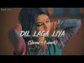 Slowed and reverb songs  dil laga liya  rajib 801
