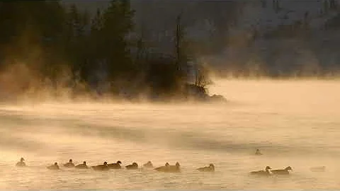 Embracing Winter, Vernon British Columbia