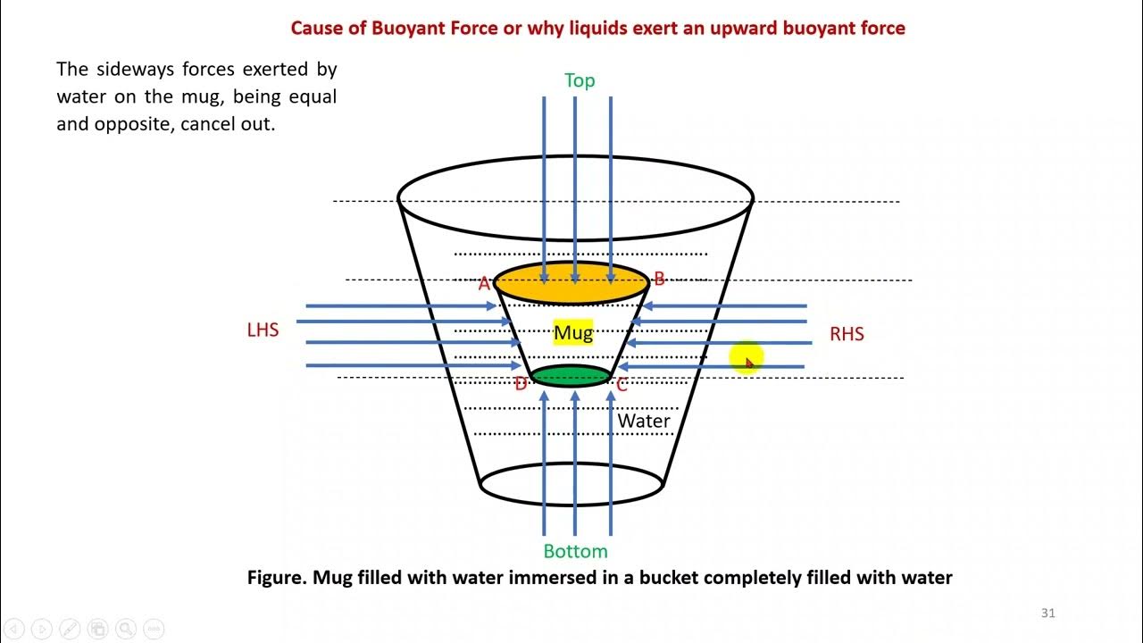 LECTURE 17 THRUST AND PRESSURE Cause of Buoyant Force Why liquids