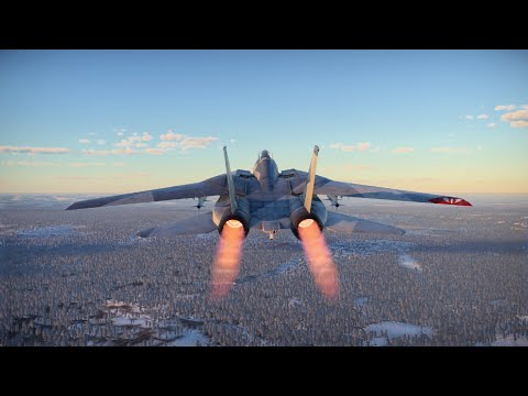 F-14 5 kill