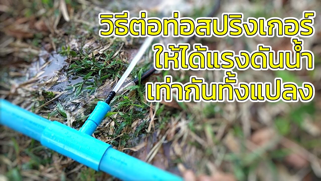 การติดตั้งสปริงเกอร์ขนาดเล็กแบบ DIY เพื่อการกระจายน้ำที่สม่ำเสมอทั่วทั้งสวนของคุณ