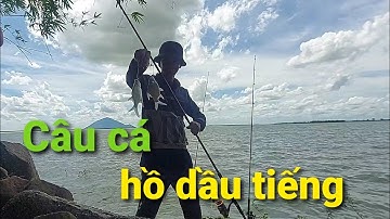 chia sẻ điểm câu cá thiên nhiên cảnh đẹp HỒ DẦU TIẾNG/HỘI CÂU CÁ BÌNH DƯƠNG