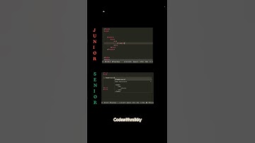 Junior vs Senior Developer in 1 Tag 😅👨‍💻"
