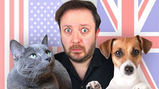 British Pet Culture Ain't Got Nothing on America