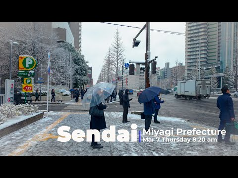 Japan in the SNOW - Walking Tour of Sendai, Miyagi