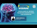 Modulando el Sistema Neuroinmunoendocrino con Osteopatía