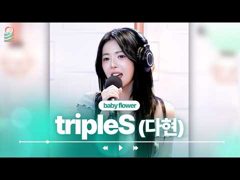 [FOCUS CAM] tripleS(다현) - Baby Flower | #MBCRADIO #정오의희망곡김신영입니다 #tripleS #트리플에스 #주빈 | MBC 260603 방송