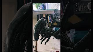 Spirit Halloween Xenomorph Review @spirithalloween #halloween #alien #xenomorph #cosplay #review