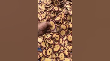 Cỏ máu ngọt ( cây bổ máu) zalo 0372324751