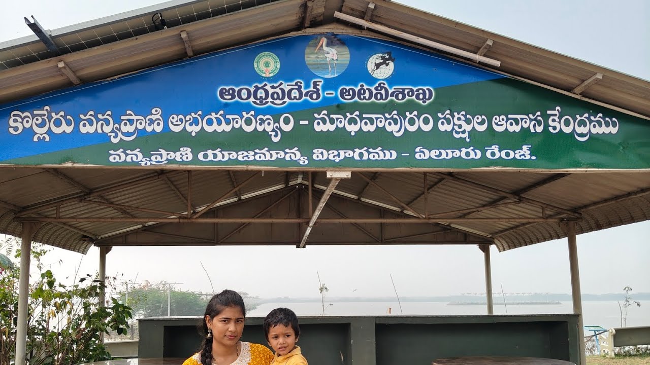 కొల్లేరు వన్యప్రాణి అభయారణ్యం - కొల్లేరు 