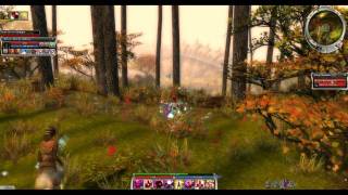 Guild Wars - Speedbook: Against the Charr [POST NERF] screenshot 5