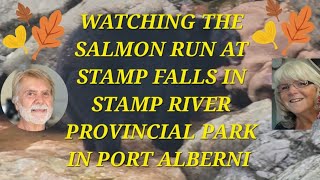 Stamp falls, Port Alberni. The end show the salmon on the salmon cam!