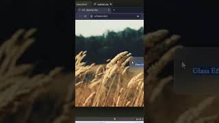 How to Use CSS Backdrop Filter #shots #websitedesign #css #css3 #cssanimation #shorts #programming