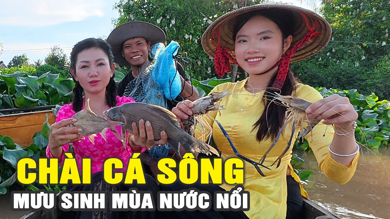 🔴 Nhà Hội Đồng Chài Cá Mưu Sinh Mùa Nước Nổi | Cẩm Hằng