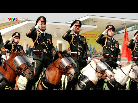 50 năm giải