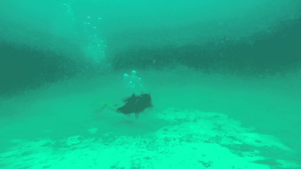 Henry's PADI Open water diver training - Return from solo compass navigation