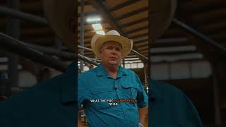 FULL PBR WORLDS VLOG LIVE NOW