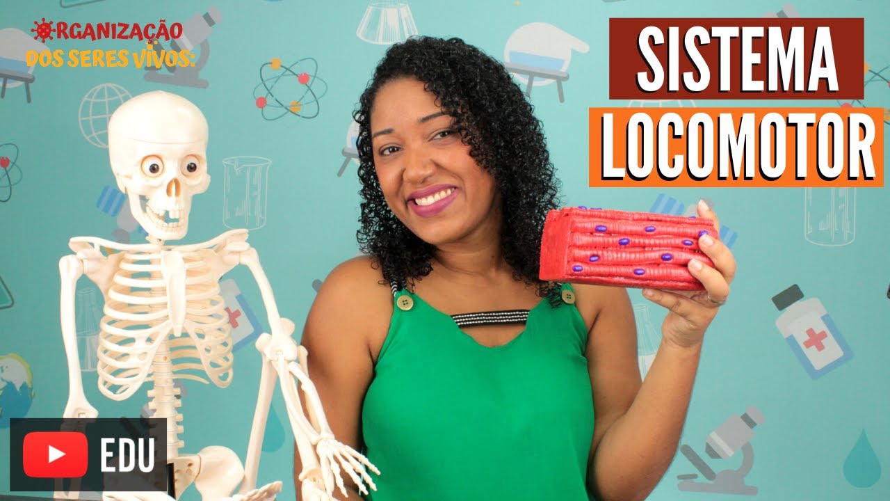 Sistema Locomotor Ep. 11 | Profª Rafaela Lima