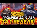 Как прокачаться БЫСТРО до танка 10 ЛВЛ НОВИЧКУ wot blitz / КАК БЫСТРО КАЧАТЬ ВЕТКИ ТАНКОВ