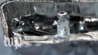 What To Watch During An Fda Advisory Panel Meeting On Pfizers Coronavirus Vaccine