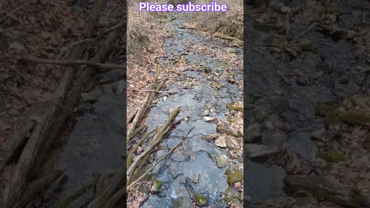 Leonard springs nature 