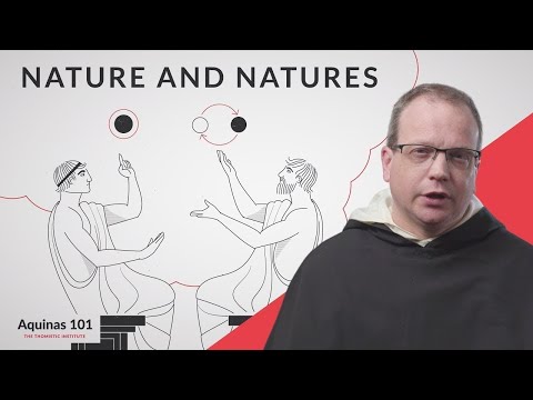 Nature and Natures w/ Fr. Thomas Joseph White, O.P. (Aquinas 101)