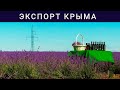 Крымский экспорт не остановить. Экспансия продолжается! Итоги года.