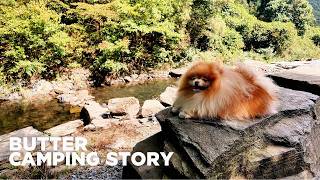 Healing Camping Trip with Butter 🐶 | Dog-Friendly Camping | Camping Vlog