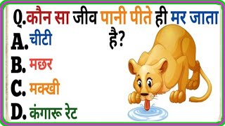 Gk in hindi || Gk hiya study || Gk General knowledge || Gk Question and Answer || Gk Quiz