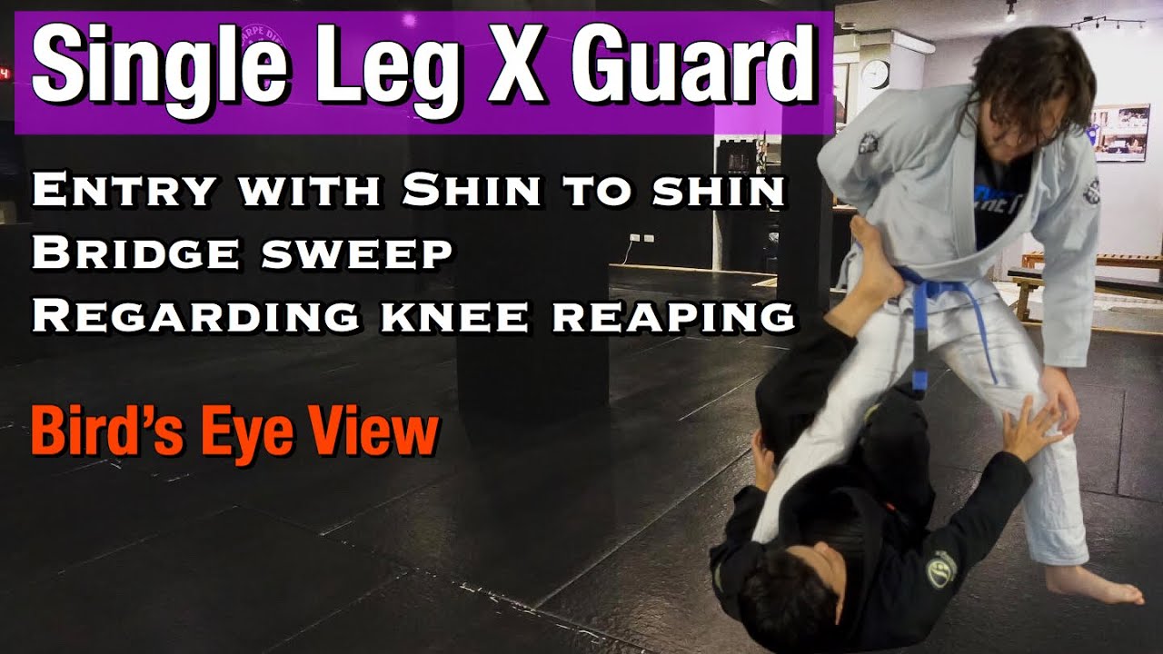 Single Leg X Guard Shin to Shin Entry, Bridge Sweep, Tech. Stand Up Sweep & Regarding Knee