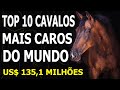 Top 10 cavalos mais caros da história MUNDIAL