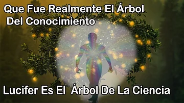 ¿Qué es el árbol de la ciencia?