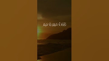 الله نور السماوات والأرض | قران كريم | القارئ ياسر الدوسري | راحة نفسية
