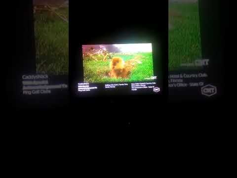 Caddyshack (1980) end credits (CMT live channel)