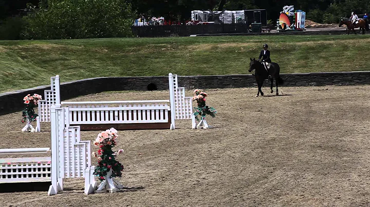 Erica Quinn and Marvelous 3'3" Performance Hunters...