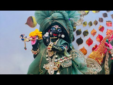 Jai Shree krishna 🌸🙏🏼 #krishna