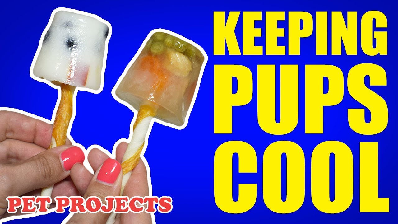 Easy Summertime Treats! PUPSICLES! - EASY DIY RECIPE | How to make popsicles for dogs - PET PROJECTS