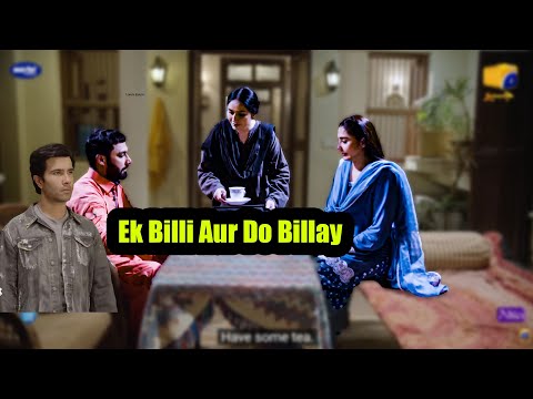 Rang De Mera - Sanwal Yar Peeya - Latest Roast and Reaction
