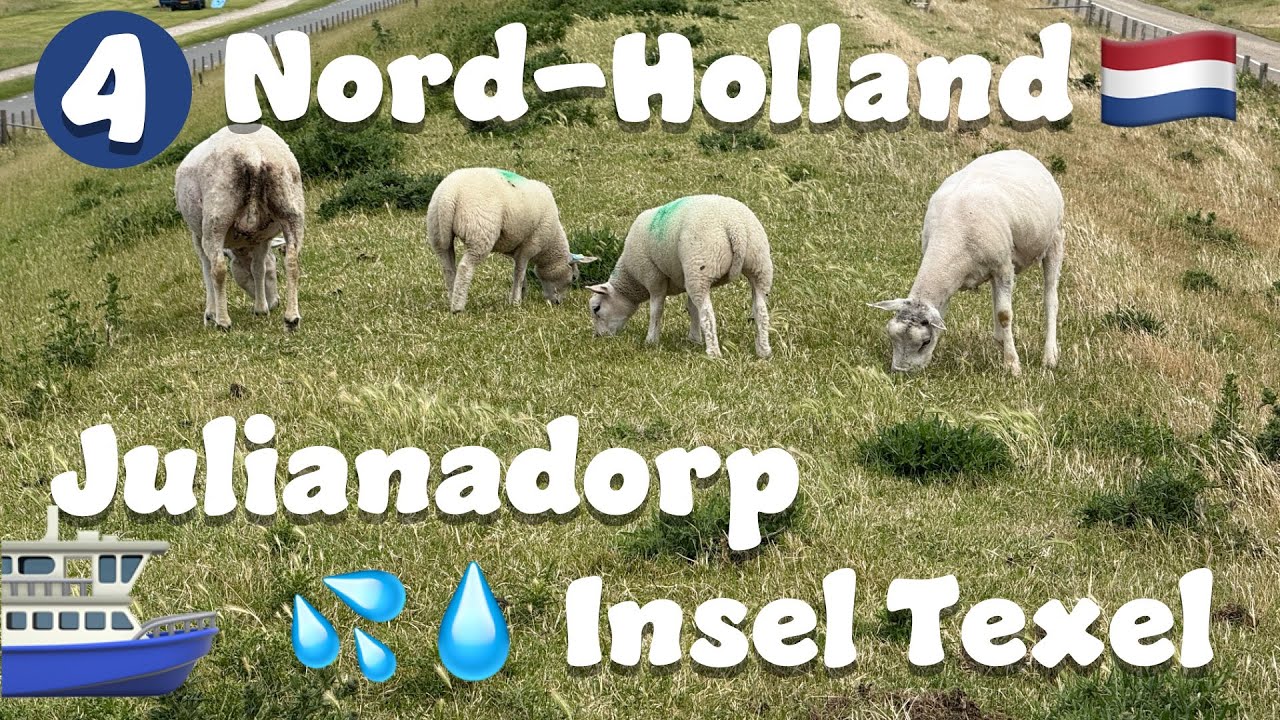 Holland-Urlaub 4/7: auf die Insel Texel mit Rad und Fähre