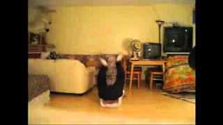 Bollywood Heros Twist