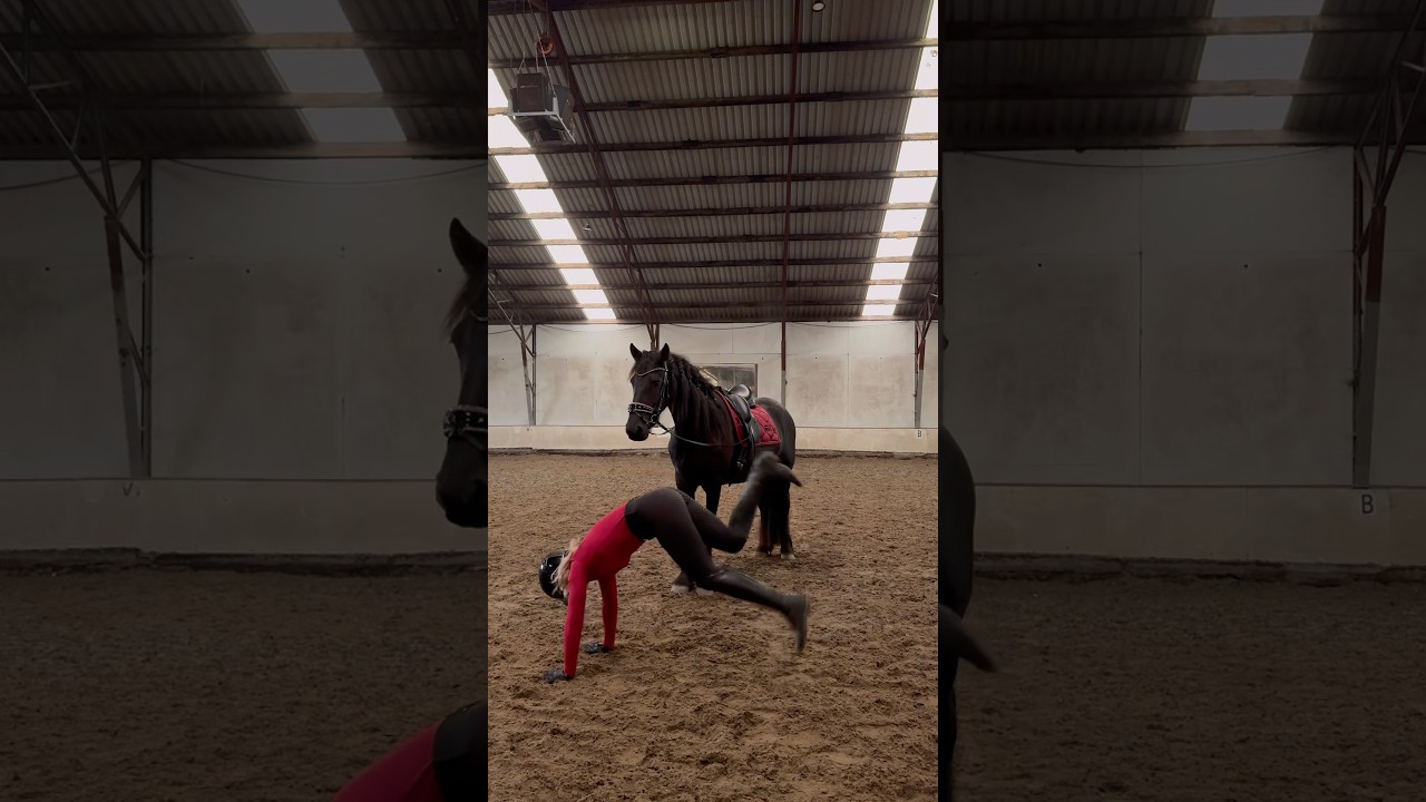 Doing the bunny turtle dance challenge 🤣