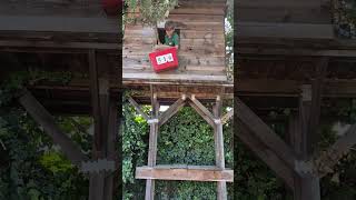treehouse pulley system #treehouse #pulley #fyp