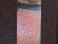 Terrazzo Floor Master At Safari Park View Estate Orchid 38 
