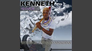 Iintonga Zakwanyamazana