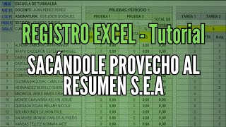 [831] Registro EXCEL 2026 [Tutorial] 📖 Cómo sacar provecho al Resumen SEA